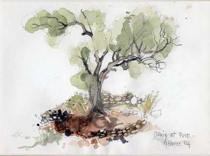 olive at port athene  &copy; ll